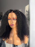Afro curly Lagos hairline wig