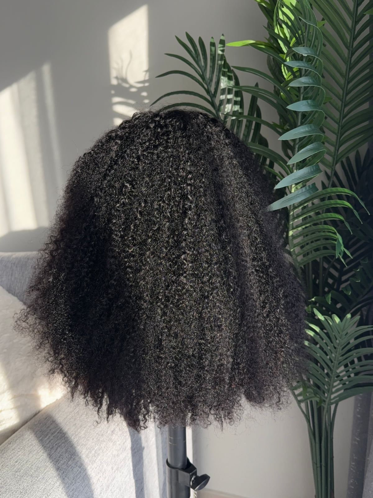 Afro curly Lagos hairline wig